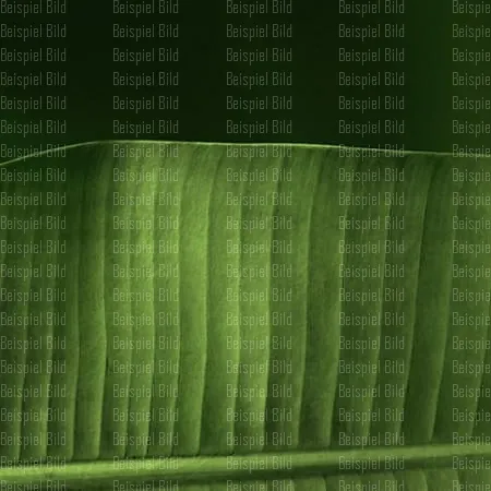 Grunes_Blatt